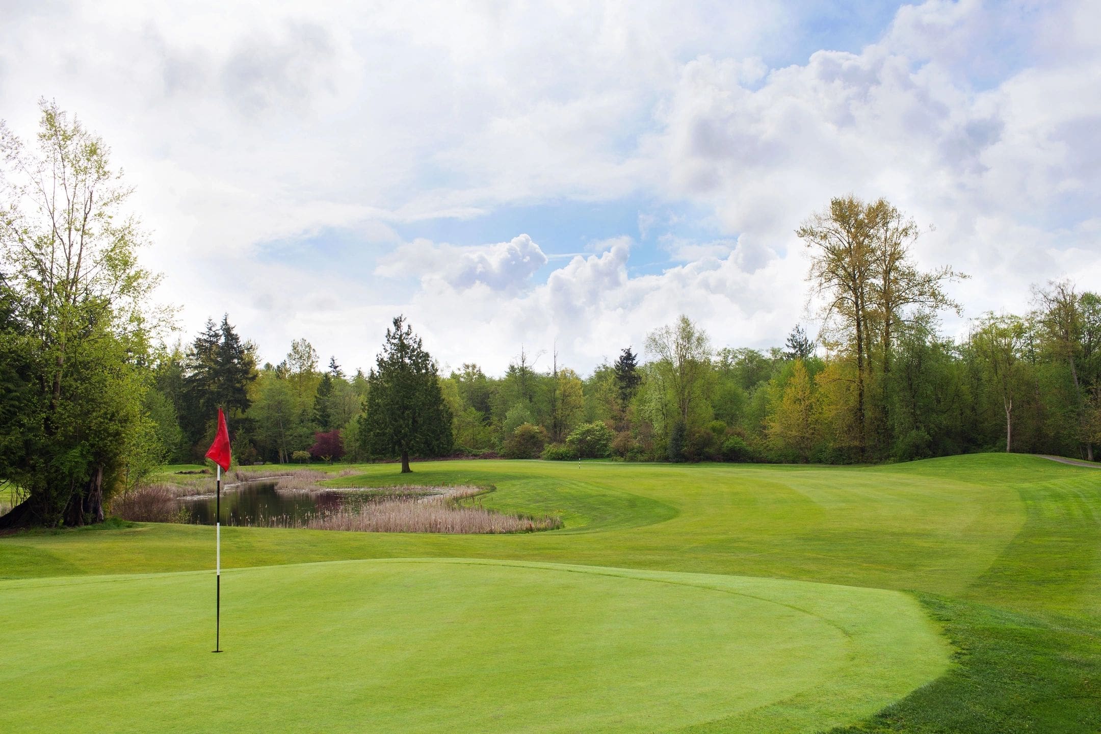 A golf course with trees and clouds in the background.